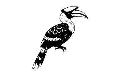 Colorful Hornbill Bird Vector Decorative Feather Pattern Cultural Style Illustration © Tarikul