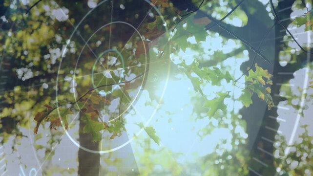HUD overlay activating, rings rotating and particles drifting over sunlit canopy, visualizing scan
