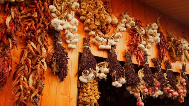 Slow pan shot of dried chili peppers, garlic braids, onions, herbs hanging in a rustic display. Warm, organic scene at a traditional farmers market pantry. Perfect for food cooking content