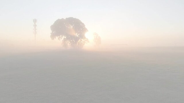Fixed camera holding misty plain sun rising causing glow, tree tower dotted overlay moving for tech