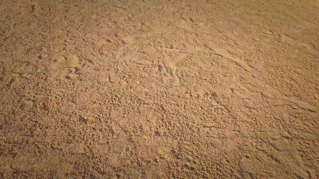 Baseball Player Point of View. Jogging in the infield. Sports and Recreation Footage