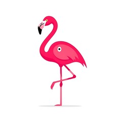 Fototapeta premium Vibrant pink flamingo illustration standing on one leg isolated on white background