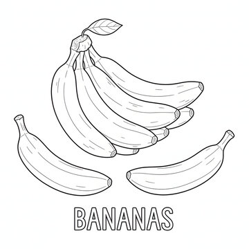 A bunch of bananas with two loose bananas and a leaf on top illustration transparent background