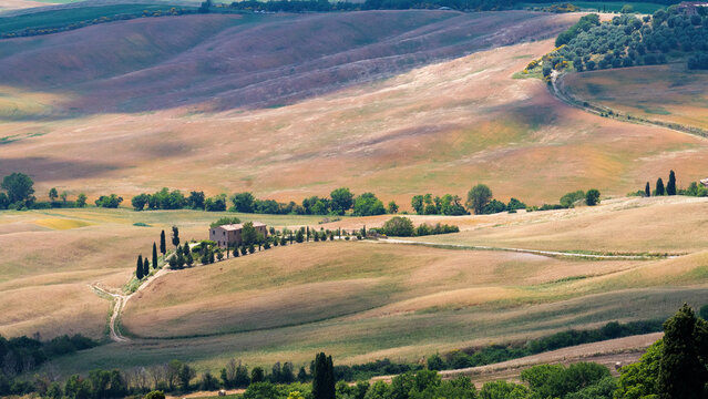 landscape in the mountains