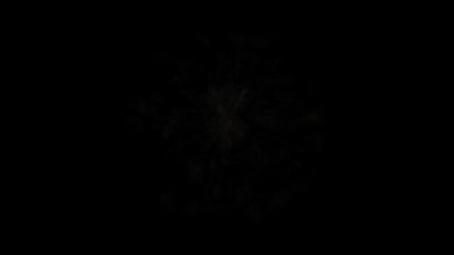 Eye-catching colorful fireworks explode against the backdrop of a black night sky. Festive fireworks displays to celebrate the holidays, vibrant red and orange fireworks displays on New Year's Eve.