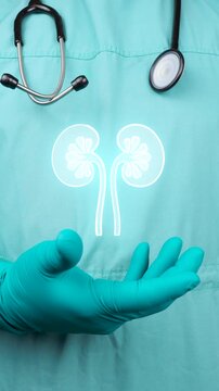 Kidney health. The doctor displays a neon green kidney icon, digital glomerular filtration and early detection of failure, a concept of innovation in nephrology.