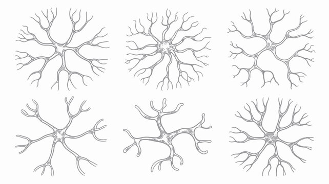 A detailed illustration displays six distinct neuron cells with branching dendrites and a central cell body resembling a starburst pattern high quality professional modern elegant stylish