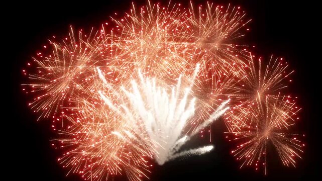 Eye-catching colorful fireworks explode against the backdrop of a black night sky. Festive fireworks displays to celebrate the holidays, vibrant red and orange fireworks displays on New Year's Eve.