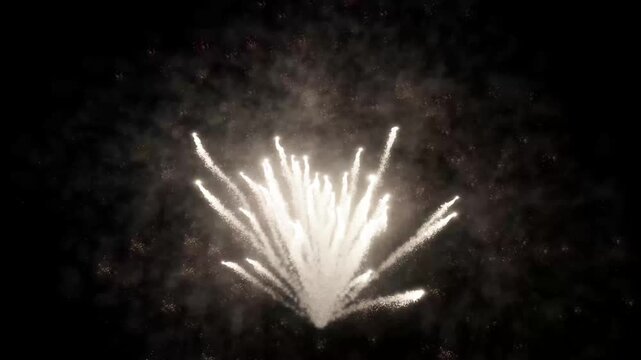 Colorful fireworks sparkle in the dark night sky, perfect for celebrations, New Year's Eve, anniversaries, and holiday festive backgrounds.