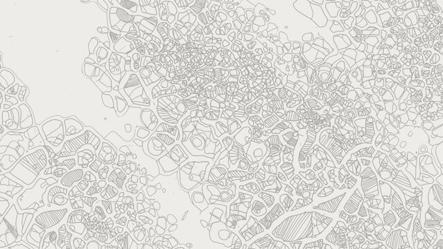Abstract hand-drawn organic pattern resembling a neural network