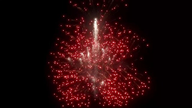 Eye-catching colorful fireworks explode against the backdrop of a black night sky. Festive fireworks displays to celebrate the holidays, vibrant red and orange fireworks displays on New Year's Eve.