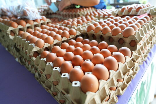 many fresh eggs at the market