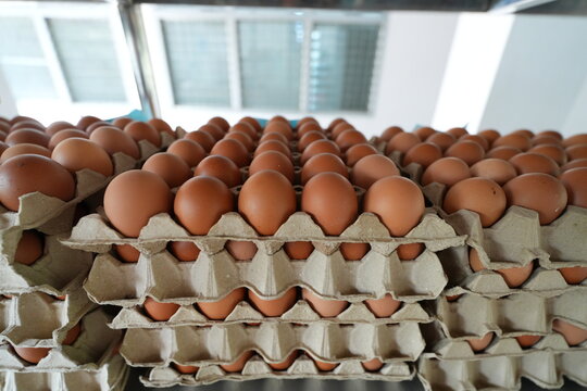 many fresh eggs at the market