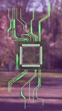 Vertical video: Reticle lighting hologram chip forming over soft park, traces pulsing to signal