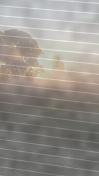 Vertical video: Striped glass reflection shifting, revealing tree as sun rising, fog thinning