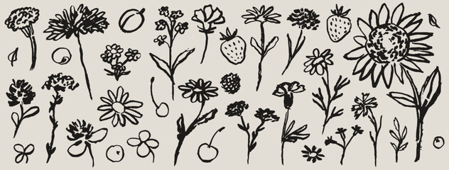 Plakat Contemporary abstract minimal tattoo flower and berries collection. Ink hand drawn wild flowers vector illustration set. Plants sketch art in charcoal drawing style. Pencil drawn floral elements.