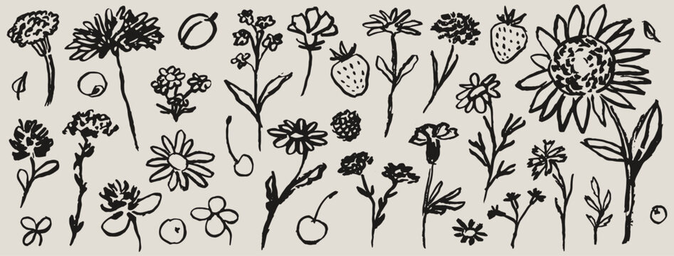 Contemporary abstract minimal tattoo flower and berries collection. Ink hand drawn wild flowers vector illustration set. Plants sketch art in charcoal drawing style. Pencil drawn floral elements.