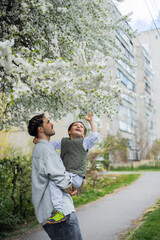 Obraz premium A father and son are enjoying spring and admiring the blooming trees. Springtime. 