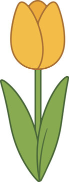 Cute pastel tulip flowers cartoon illustration spring floral clipart isolated