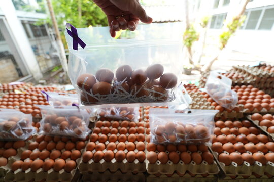 Raw Organic Brown Eggs