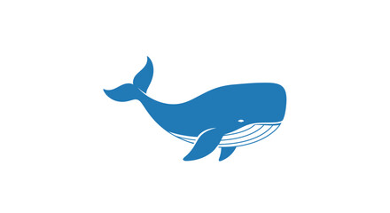 Blue Whale Swimming in Ocean Water. © Alex