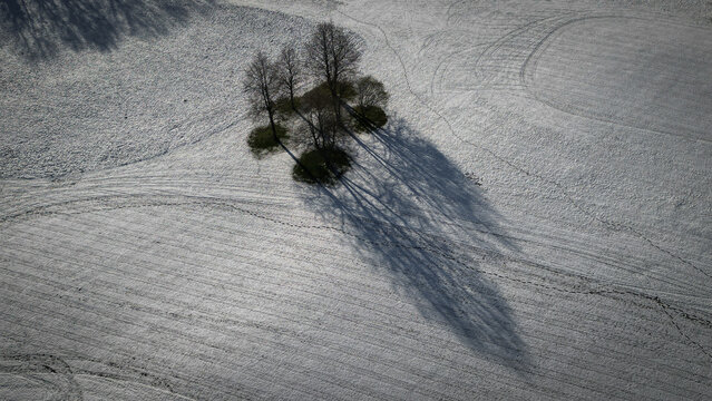 Aerial view of a stark, snow-covered field punctuated by a cluster of trees casting long, dramatic shadows, Cheserex, Vaud, Switzerland.