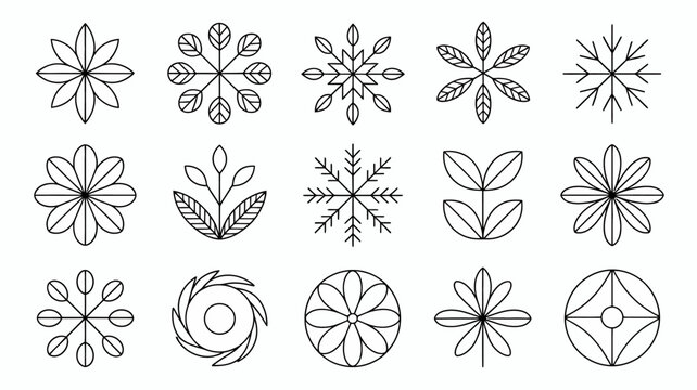 A collection of delicate minimalist floral and geometric line drawings arranged in a grid pattern on a white background high quality professional detailed modern elegant stylish