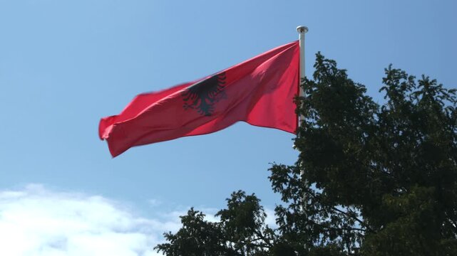 Albanian flag waving in strong wind against clear blue sky, national symbol of Albania, patriotic outdoor closeup footage