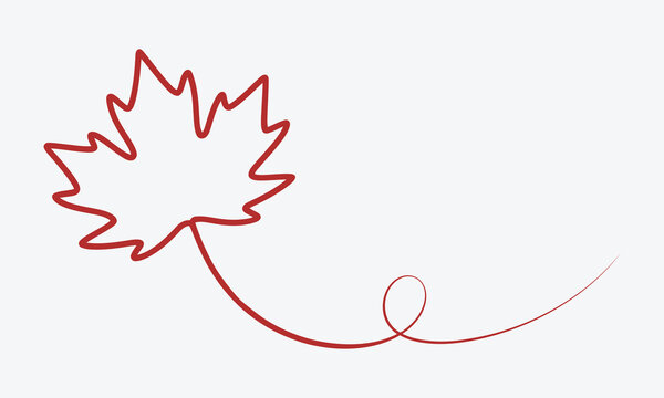 Red maple leaf with stem isolated, vector illustration
