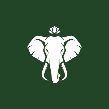White elephant head with lotus.
