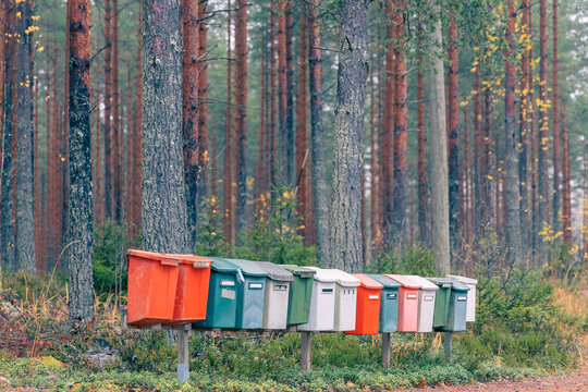 Row of colorful traditional mailboxes standing at the edge of a pine forest in Finland, typical rural Nordic postal service in autumn, scenic woodland landscape