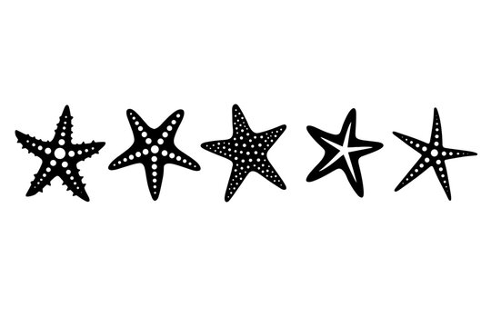  Starfish Silhouette Vector Illustration