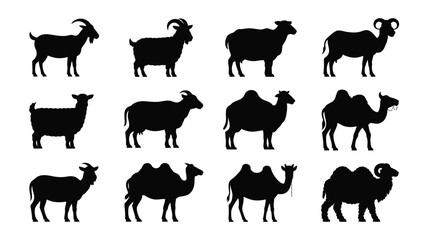 Fototapeta premium Eid animal silhouettes for islamic holiday goats and camels icons