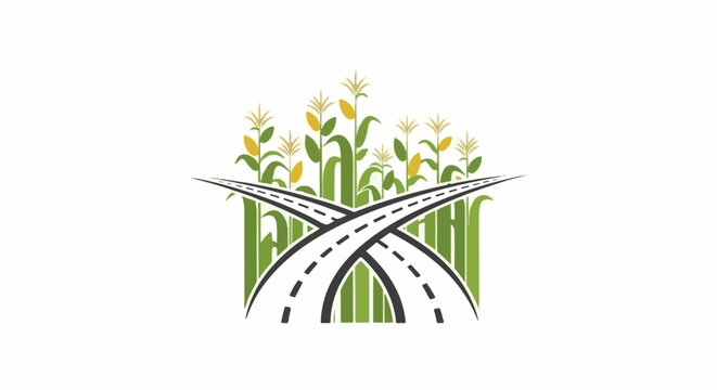 Intersecting roads flow through a lush cornfield