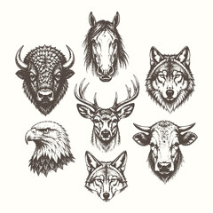 Fototapeta premium Detailed etching style vector illustration set of North American wildlife heads including buffalo, horse, wolf, deer, eagle, and coyote.