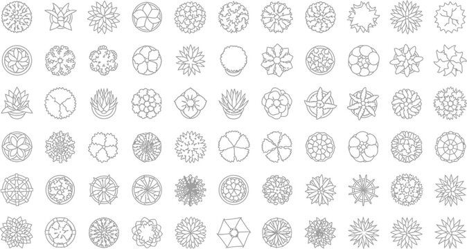Set of Sixty Diverse Architectural Tree and Shrub Top View Vector Icons for Landscape Design and Site Planning