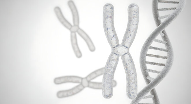 A detailed illustration of chromosomes and DNA structure in a scientific vector graphic