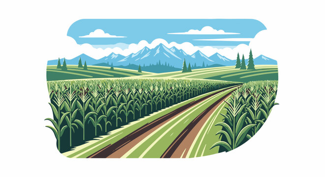 Lush green cornfield with dirt road leading towards distant mountains under blue skies