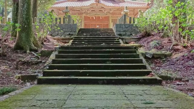 Walking Up Stone Steps Toward a Shinto Shrine Hall Through a Forest Path in Japan