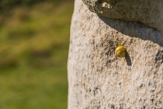 Ancient Neolithic Standing Stones at Avebury Henge under Clear Blue Sky
