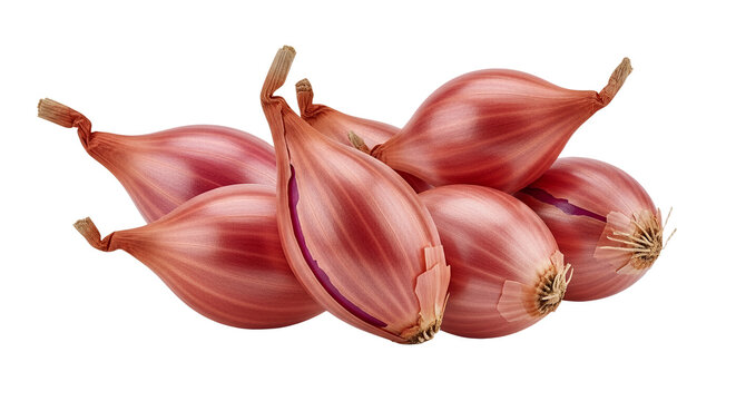 Bunch of Fresh Raw Whole Shallots Isolated on White Background