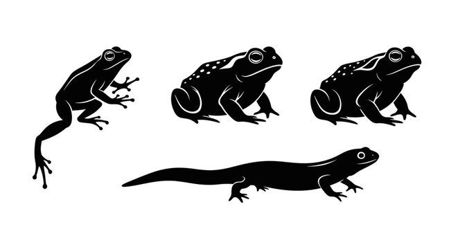 Black silhouette vector set of amphibians: frog, toad, and newt