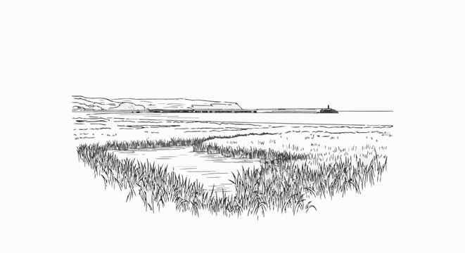 Sketch of a coastal marsh with reeds, water, and distant hills and pier