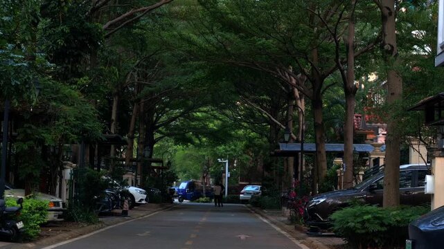 Tree-lined street in peaceful residential neighborhood, lush green canopy over urban road, serene atmosphere, 4K.serene residential street scene, showcasing a lush green tree canopy covering the road 