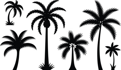 Fototapeta premium Collection of black palm tree silhouettes