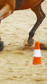 Horse legs stop at the orange cone in slow motion