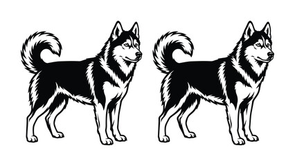 Siberian Husky dog vector illustrations, black and white husky breed mascot set, standing sled dog silhouettes for pet branding and logo design © Ahmad