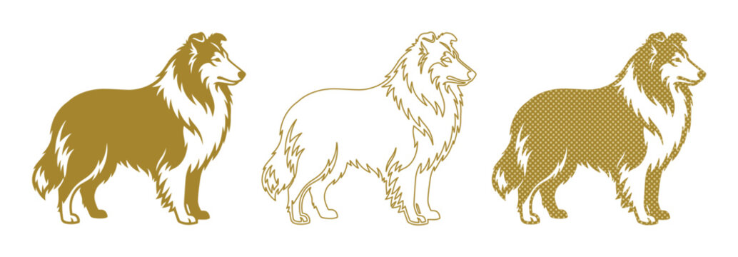 Golden collie dog vector silhouettes, elegant rough collie breed line art set, standing sheepdog illustrations for pet branding and kennel logos