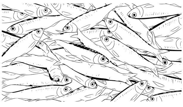Small silver fish pile vector illustration whitebait seafood pattern isolated design