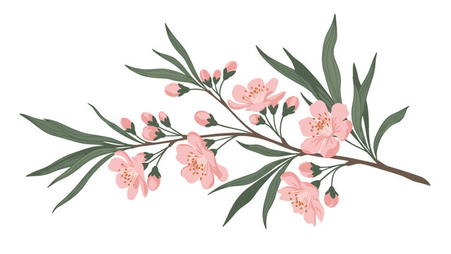 Beautiful branch of pink cherry or almond blossoms with green leaves for spring season and nature background designs.